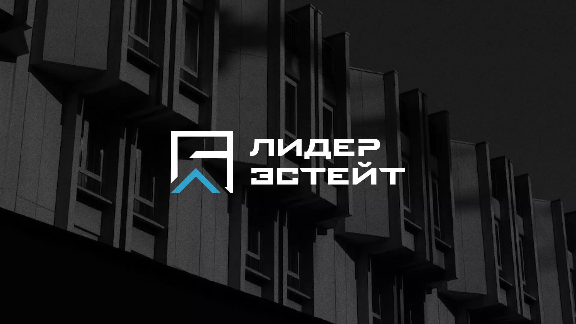 Разработка логотипа агентства недвижимости «Лидер Эстейт» в Нефтекумске